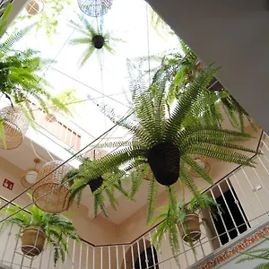 Cordoba Guest house Seville